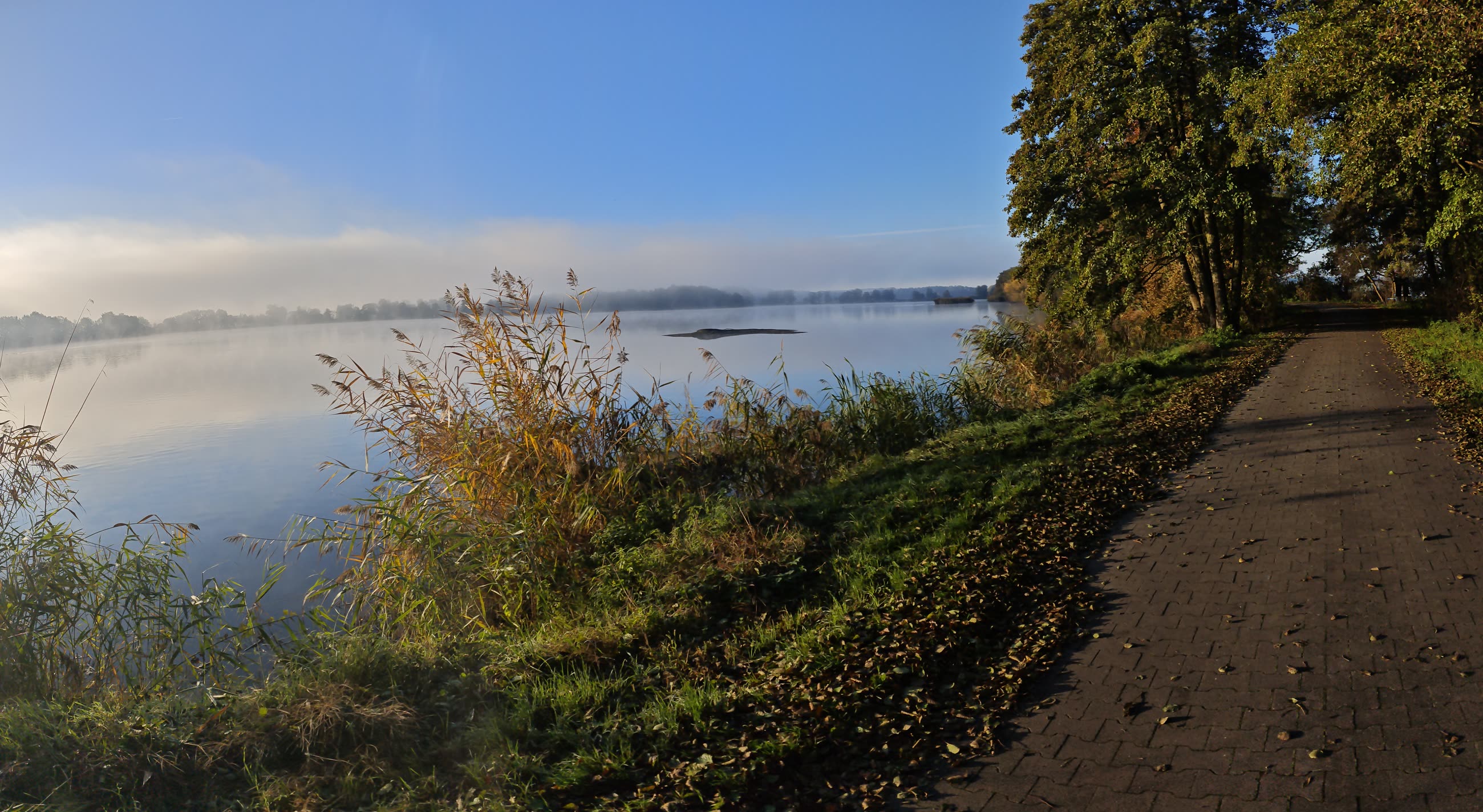 Jesienna panorama ścieżki nad stawem